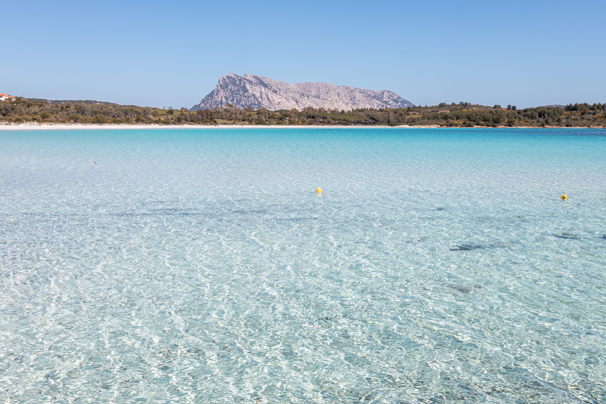 Cala Brandinchi<br />
